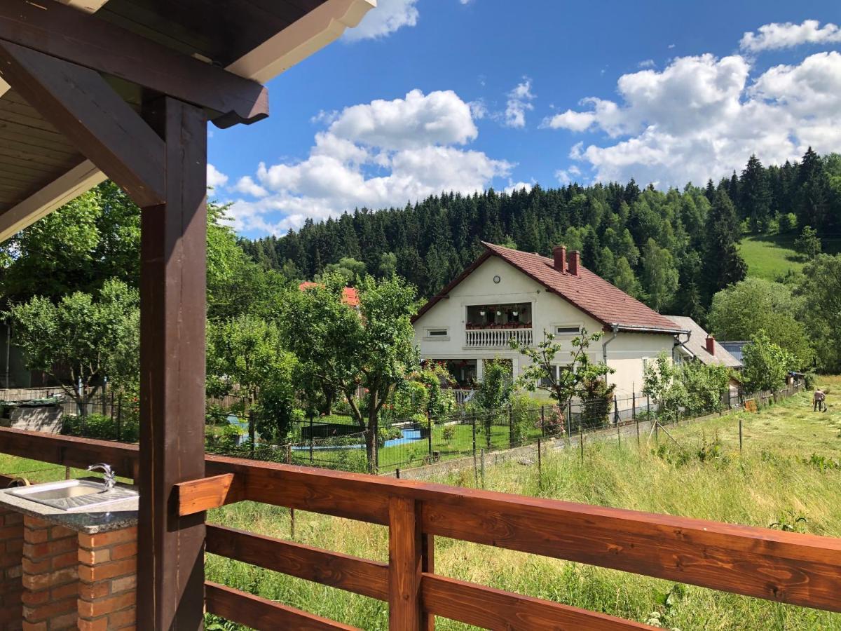 Pensiunea Exedra Hotel Borşa Екстериор снимка