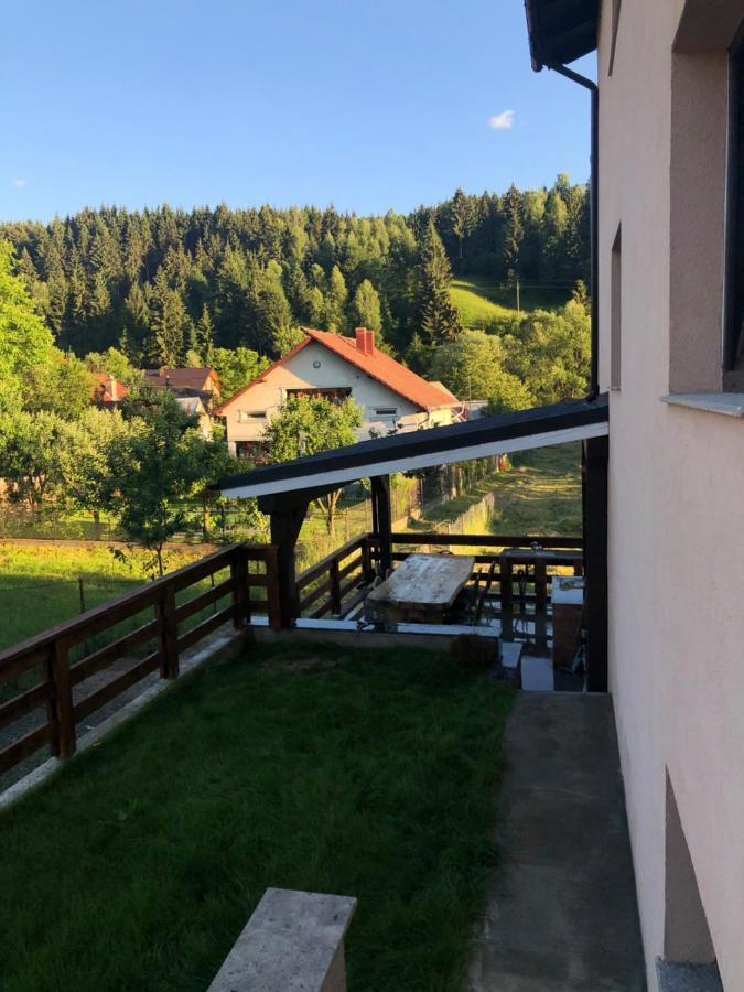 Pensiunea Exedra Hotel Borşa Екстериор снимка