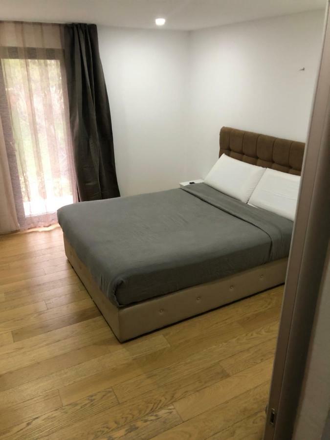 Pensiunea Exedra Hotel Borşa Екстериор снимка