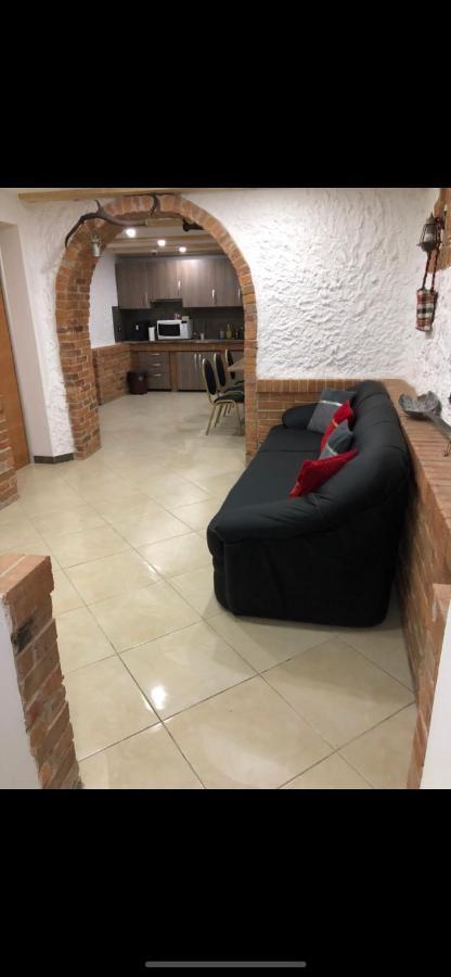 Pensiunea Exedra Hotel Borşa Екстериор снимка